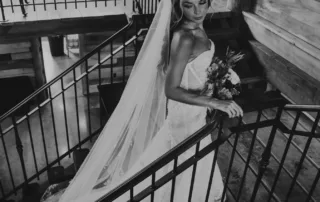 The Pratts Bison Creek Photography